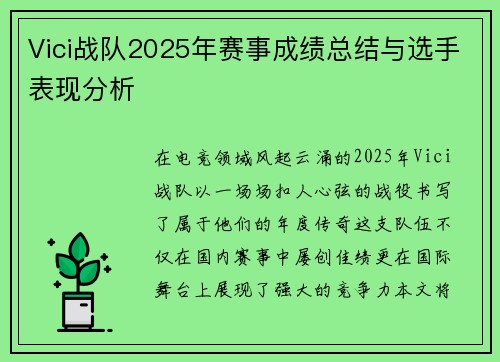 Vici战队2025年赛事成绩总结与选手表现分析